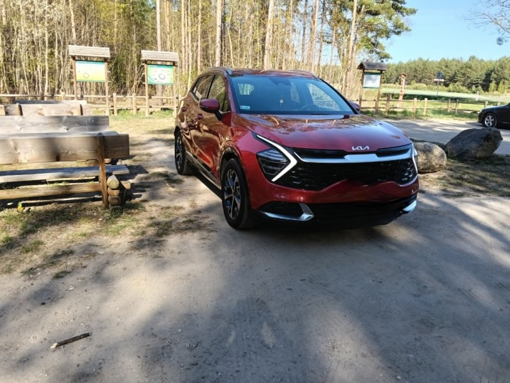 Kia Sportage 1.6 T-GDI MHEV Business Line 2WD DCT