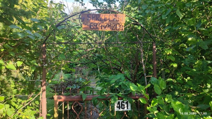 NA SPRZEDAŻ – DZIAŁKA” ROD CZECZOTKA”, nr 461