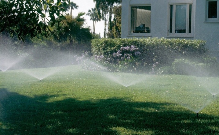 KOSTKA BRUKOWA NASADZENIA ZIELENI NAWODNIENIE