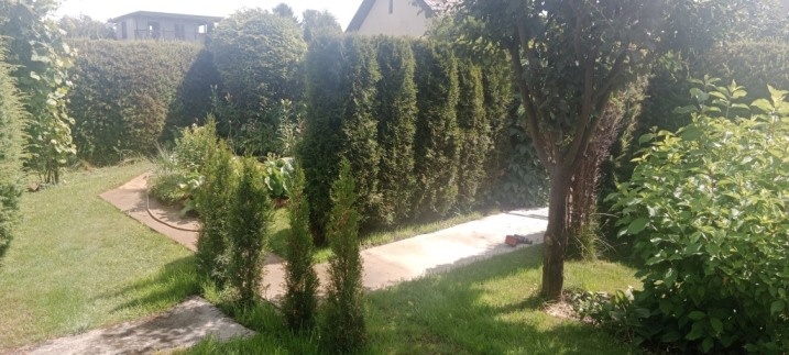 Sprzedam działkę ROD Bemowo