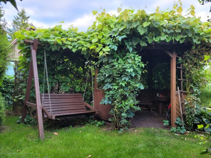 Sprzedam ROD na Bemowie 20tyś.