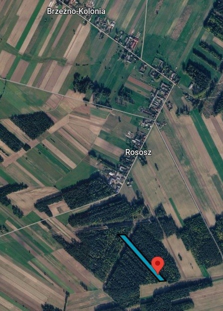 Sprzedam działkę leśną 0,51ha we wsi Rososz, gmina Wąsewo