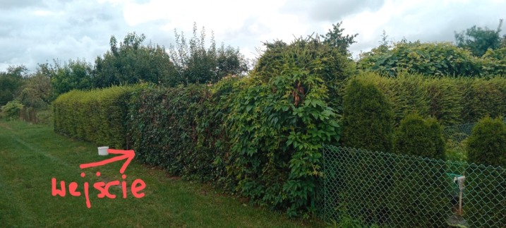 Sprzedam działkę ROD 300m2