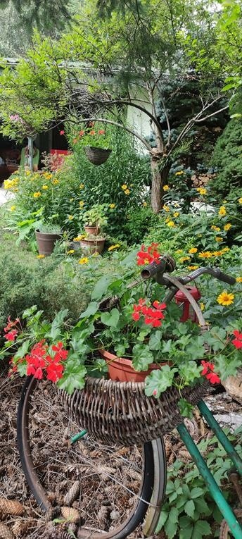 Klimatyczny dom z kominkiem i dużym, pięknym ogrodem