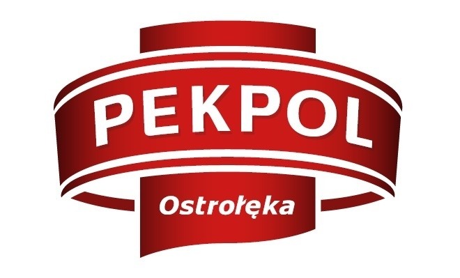 Specjalista ds płac i kadr umowa na zastępstwo