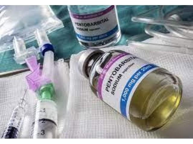 Kup Nembutal (pentobarbital, barbiturany) w opakowaniach 100 ml i 250 ml
