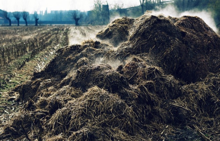 Posprzątamy Działkę Rod Ogródki Działkowe Czeczotka OBORNIK Ogrody