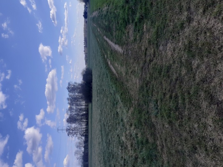 Działka Susk Stary -Ławy