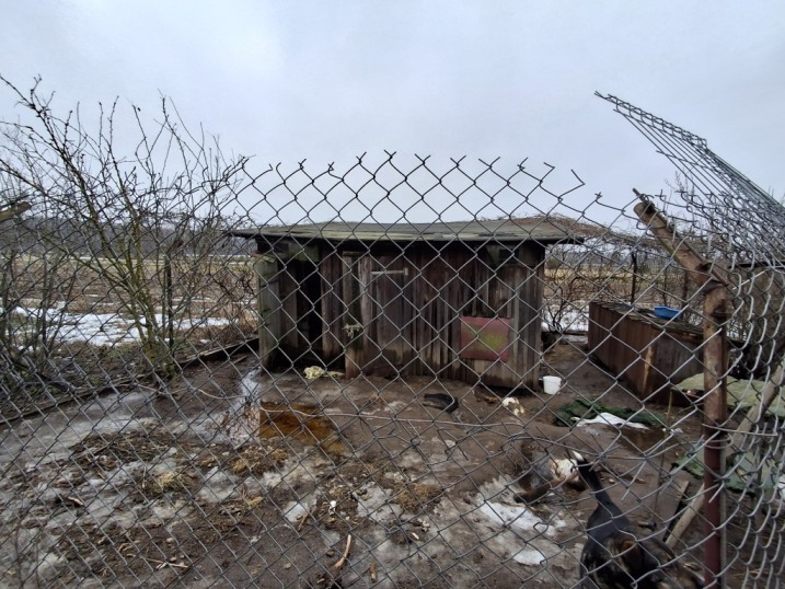 Oddam stary gołębnik