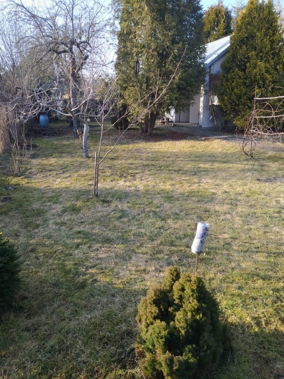 Działka ROD ,,Czeczotka'' bardzo ładna