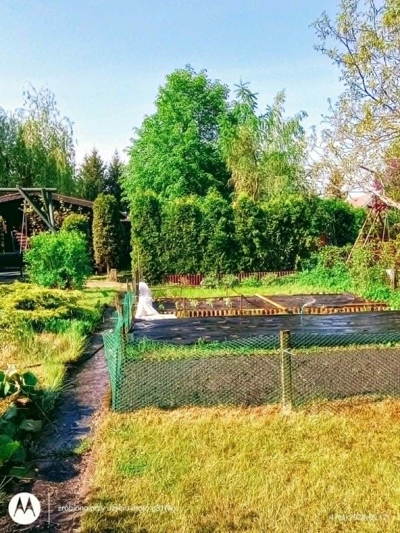 Działka ogrodnicza ROD Bemowo