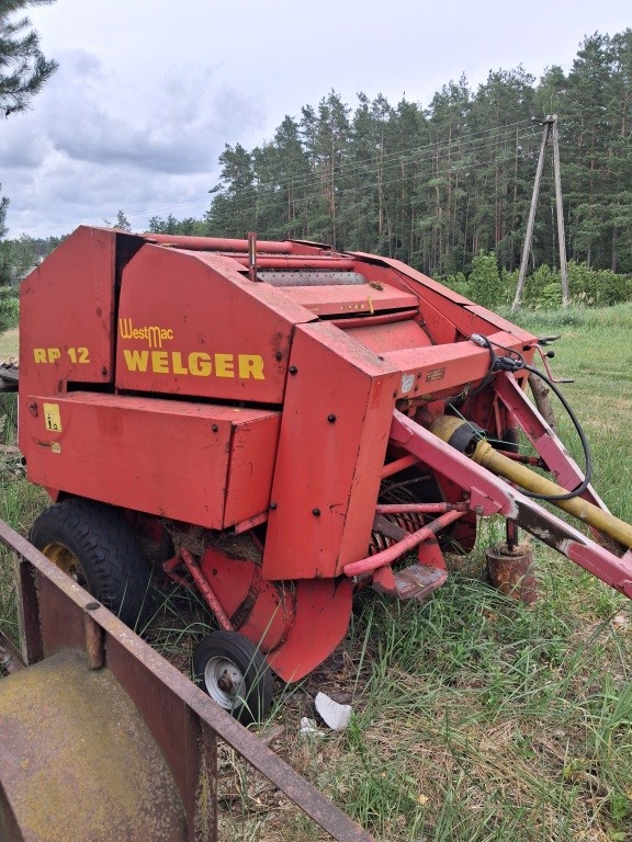 Belarka welgier