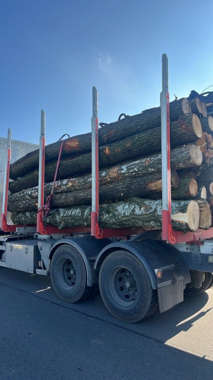 Drewno Opałowe Kominkowe