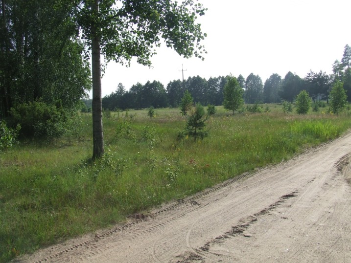 Działka rekreacyjno-budowlana 23a