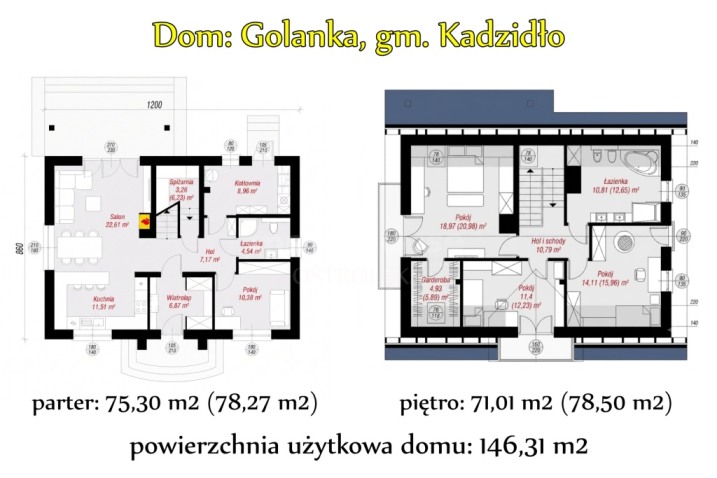Golanka: nowy dom, piękna duża działka - 5322 m2