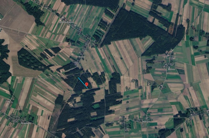 Sprzedam działkę leśną 0,51ha we wsi Rososz, gmina Wąsewo
