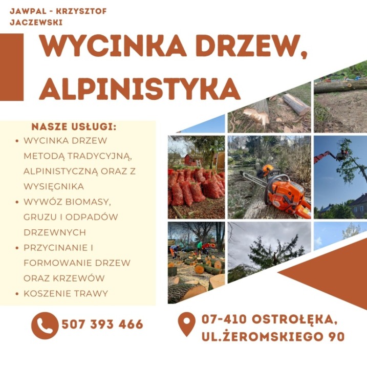 WYCINKA DRZEW Z PODNOŚNIKA, ALPINISTYKA, PRACE PORZĄDKOWE