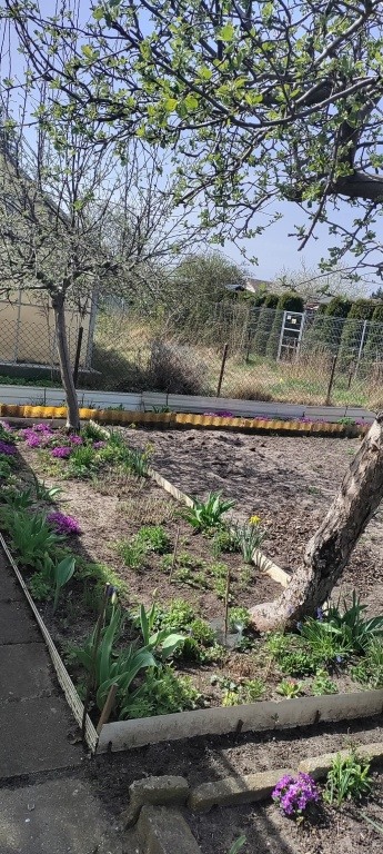 Działka ROD sprzedam