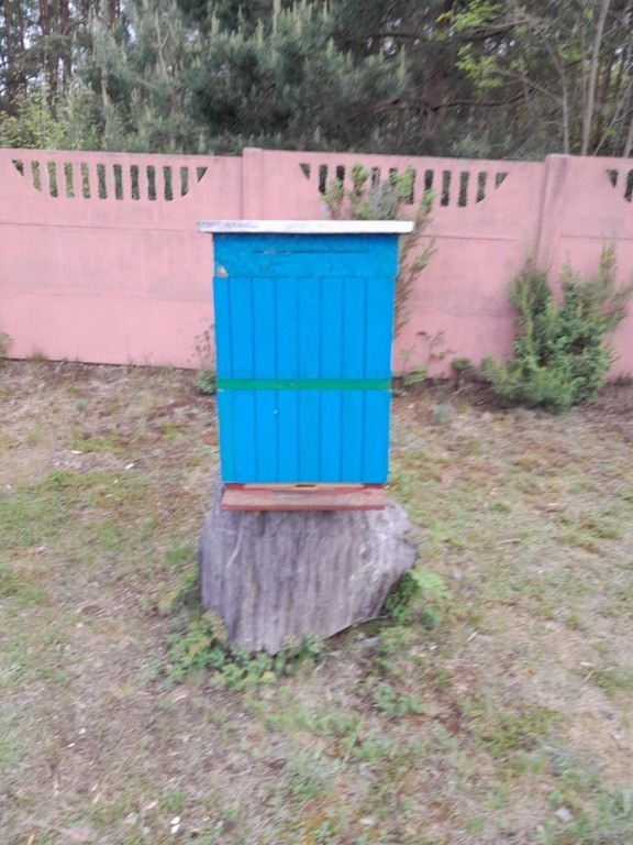 Tanio