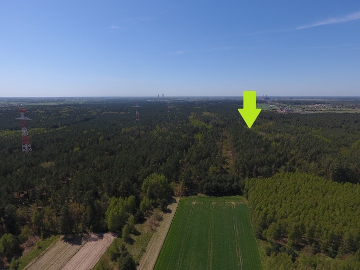 Na sprzedaż grunty leśne  Laskowiec