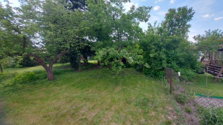 Działka ROD Czeczotka Dwie połączone łącznie 600m2
