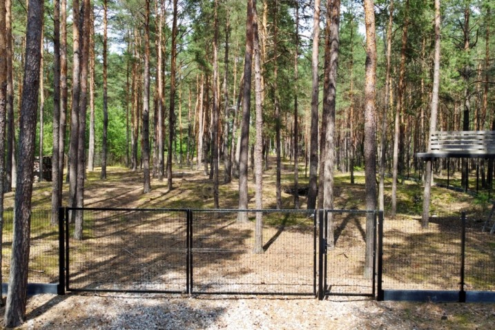 3,12 ha z pozwoleniem na budowę domu