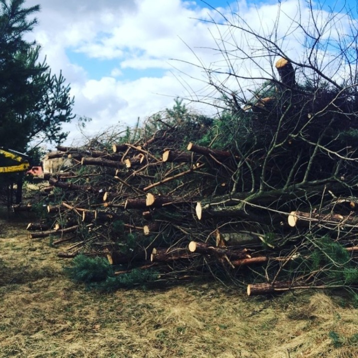 Rekultywacja grunty.