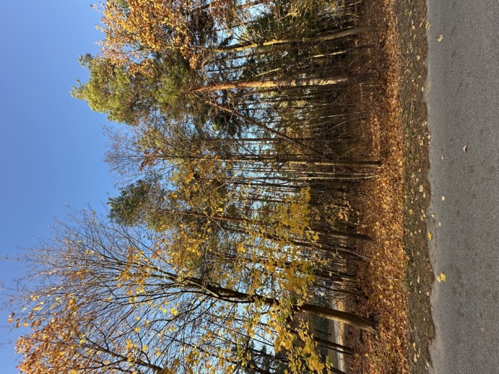 Działka budowlana w Laskowcu