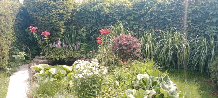 ROD Bemowo sprzedam działkę