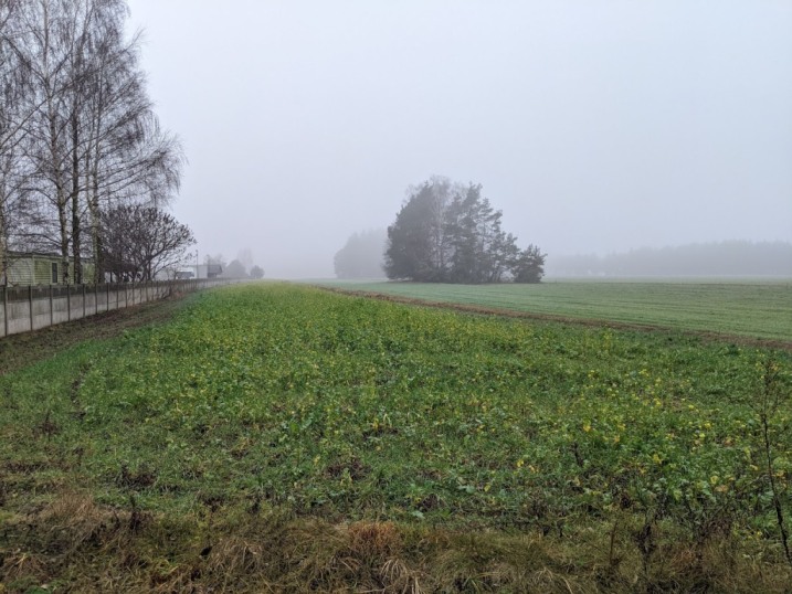 Sprzedam Działkę  Budowlaną 16a Borawe