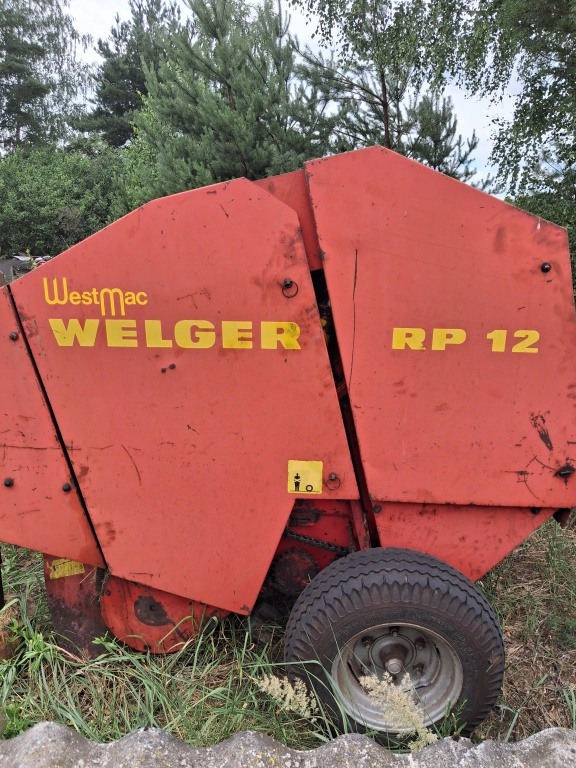 Belarka welgier