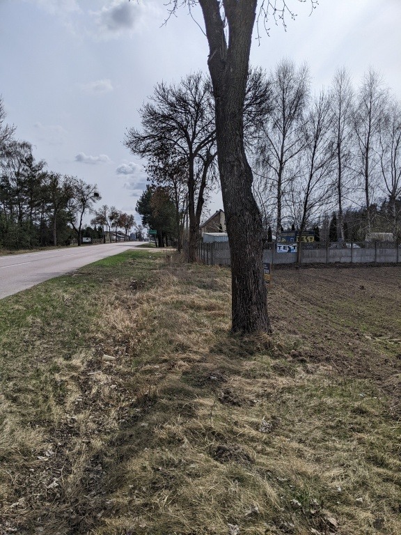 Na sprzedaż działka budowlana 24a Borawe