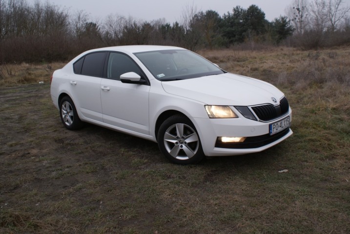 skoda octavia 2019