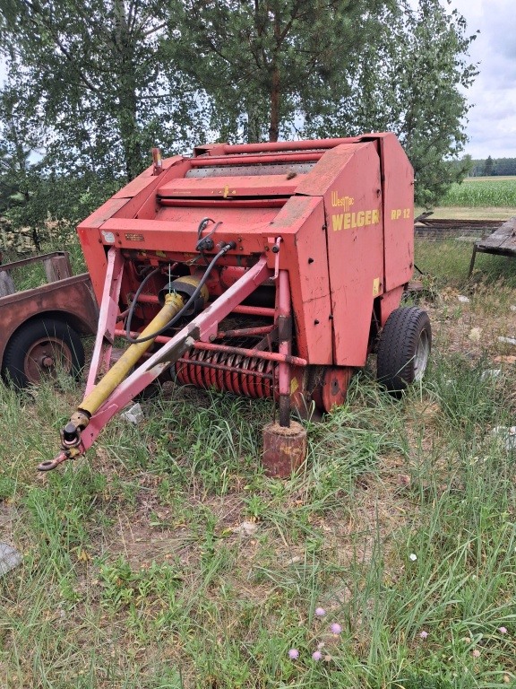 Belarka welgier
