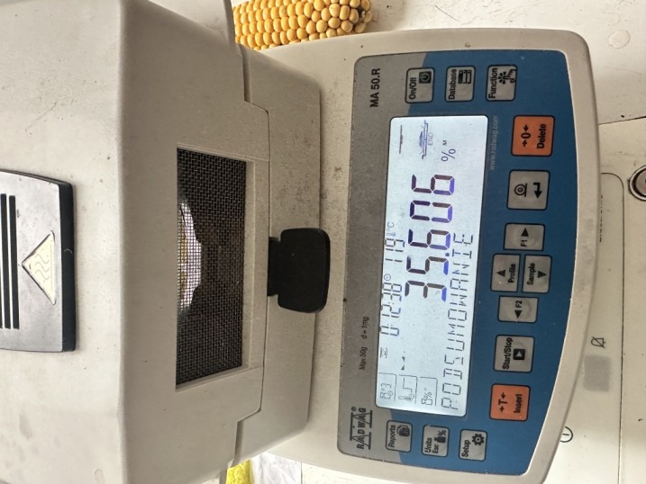 kukurydza mielona bigbag lub luz /mielone ziarno kukurydzy/CCM