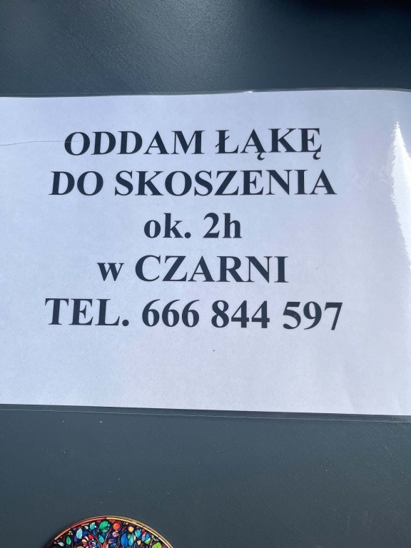 Oddam łąkę do skoszenia