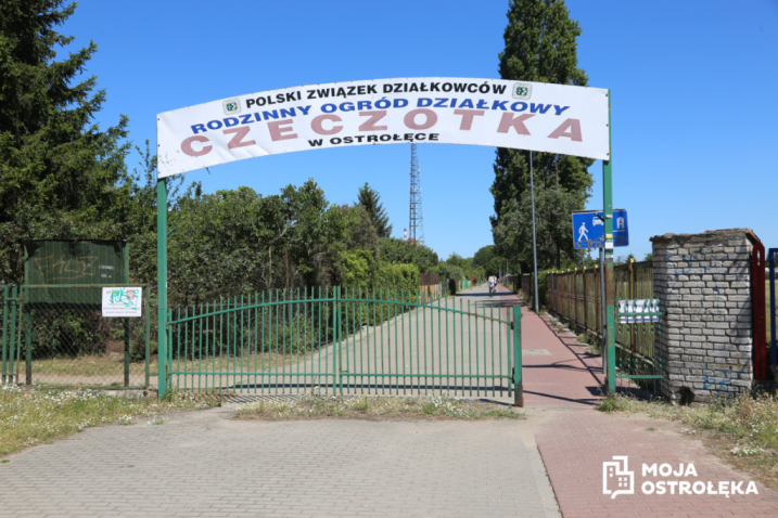 Kupie Działke ROD Czeczotka  do 5 tysięcy w kazdym stanie na uzytek własny