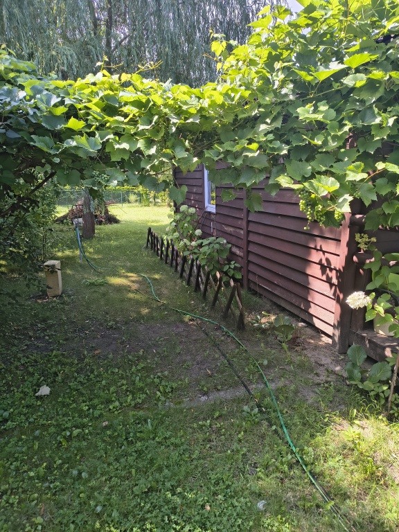 Działka ogrodnicza ROD Bemowo