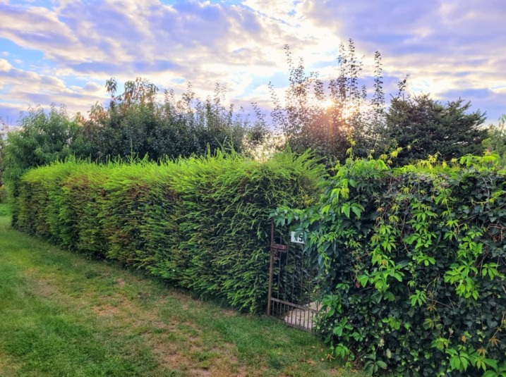 Sprzedam działkę na Bemowie 20tys zl