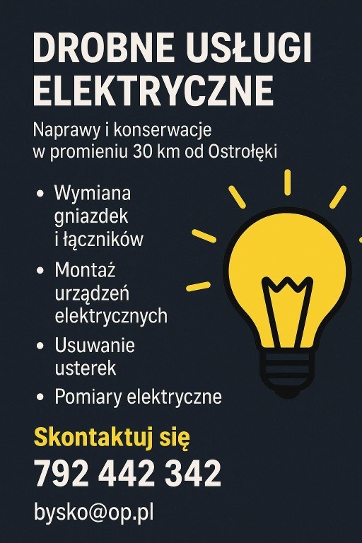Drobne usługi elektryczne