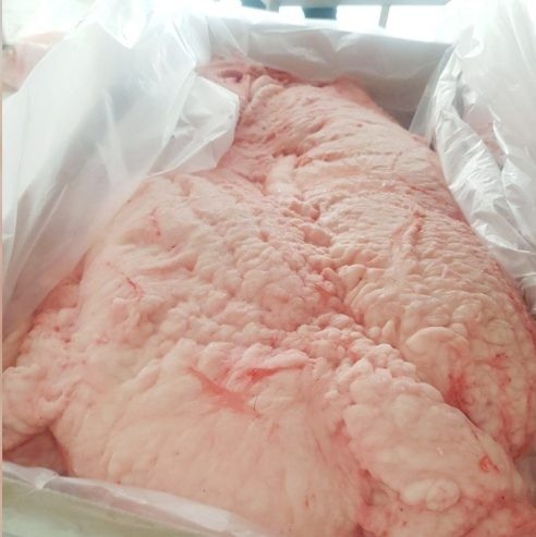 Halal Lamb Tail Fat, Frozen Lamb Fat, Sheep Tail Fat, Lamb Fat Supplier