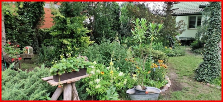 Klimatyczny dom z kominkiem i dużym, pięknym ogrodem