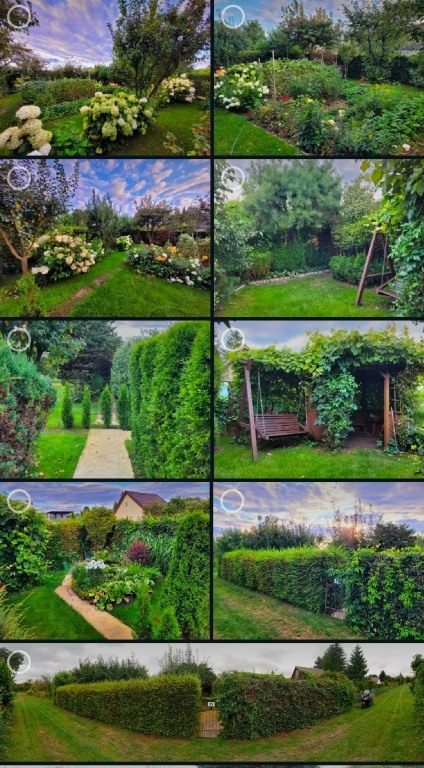 Sprzedam działkę ROD Bemowo