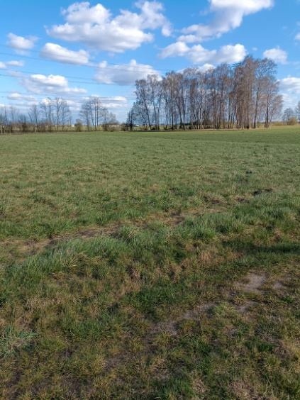 Działka Susk Stary -Ławy