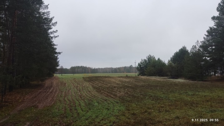 Żebry Ostrowy działka rolno - Leśna 1.32 ha