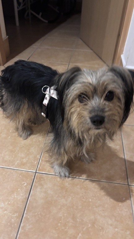Znaleziona !!