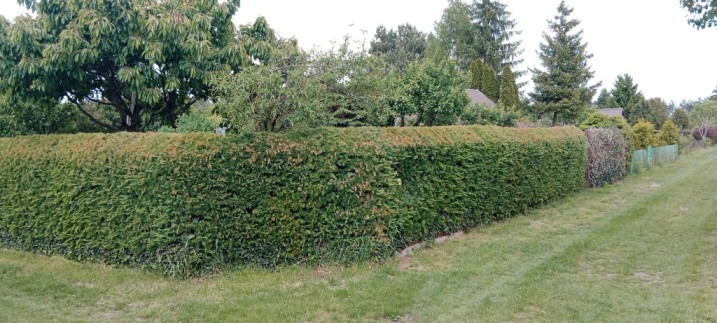 Sprzedam ROD Bemowo 300m2