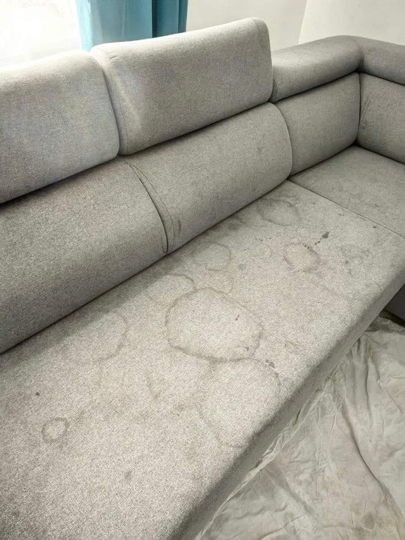 usługi sprzątające, mycie okien,pranie tapicerki