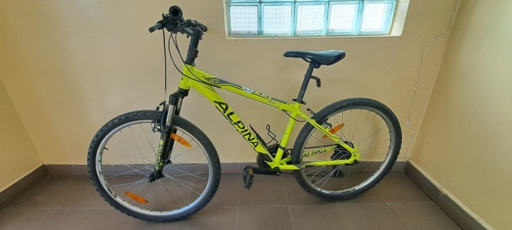 Rower Alpina