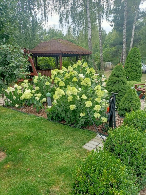 SPRZEDAM DOM 70M DZIAŁKA 1400M2